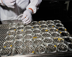 1554885422337213.jpg 1554598455170837.jpg