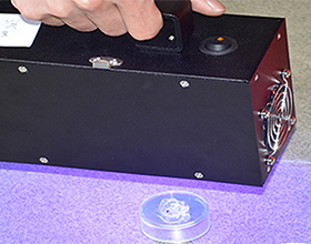 1556086519109338.jpg 未標題-1.jpg